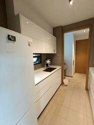 Skyline Residences (D4), Condominium #570637301